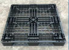 Pallet nhựa