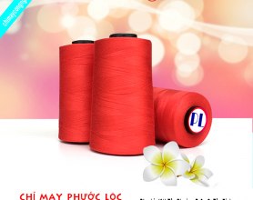 Chỉ polyester