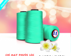 Chỉ polyester