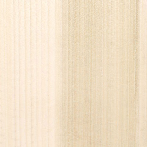 Gỗ Poplar