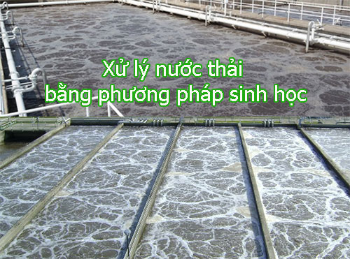 Xử lý nước thải PP sinh học