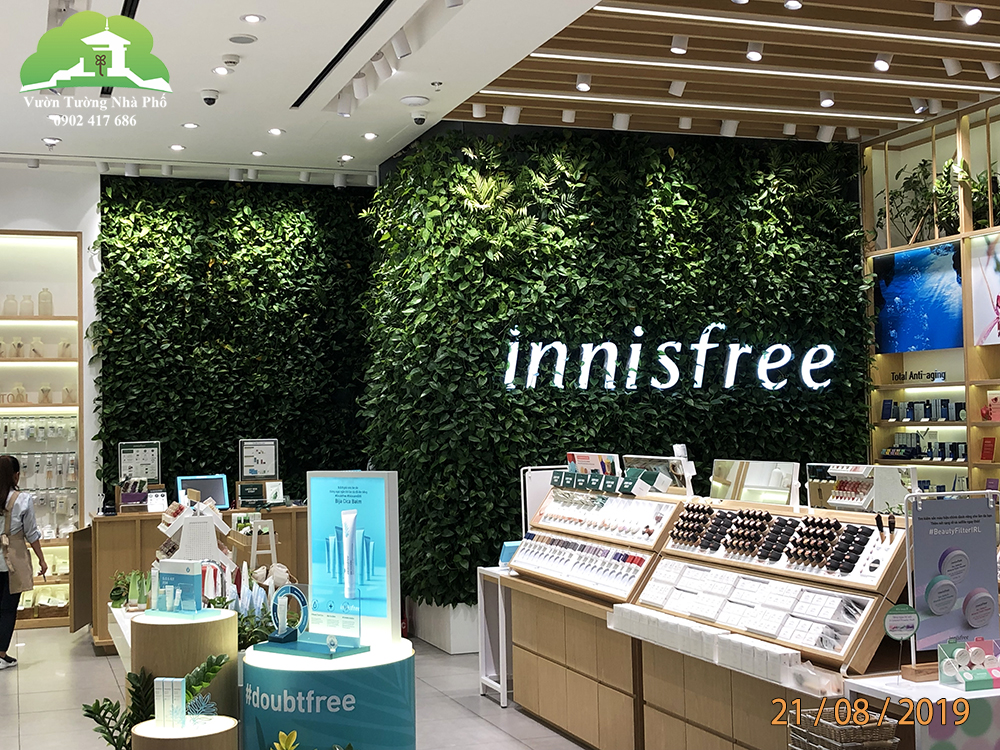 Vườn cây đứng minigarden trong nhà