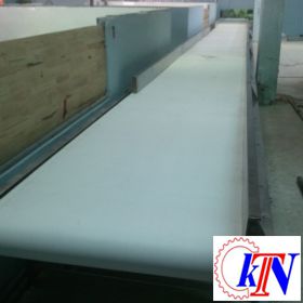 Băng tải nhựa PU tải cá