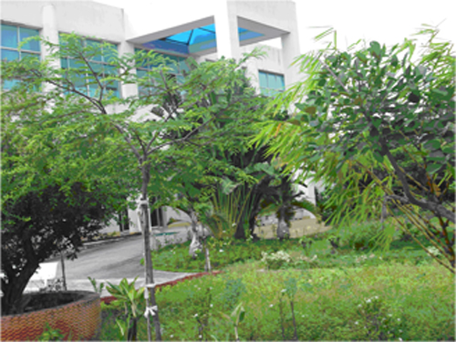 Phân xưởng may