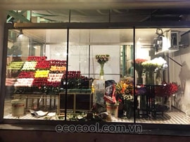 Kho lạnh bảo quản hoa tươi
