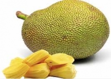 Mit tươi