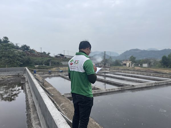 Quá trình thực hiện các dự án