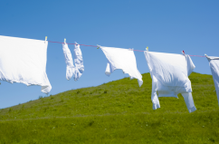 Quang sắc cho cotton