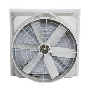 Quạt hút Composite trực tiếp Nako
