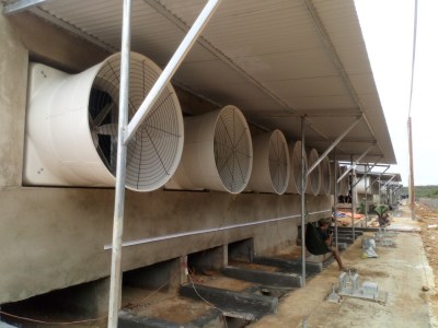 Quạt thông gió công nghiệp