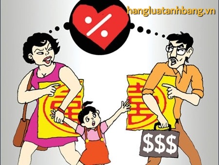 Tư vấn quyền nuôi con, chia tài sản sau ly hôn