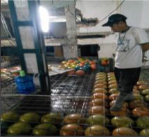 Linh kiện xích tải dây chuyền sơn