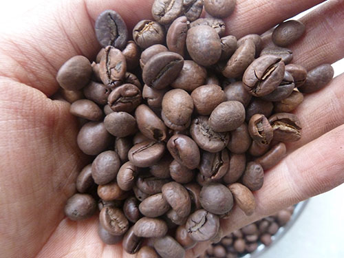 Cà phê hạt rang giá sỉ