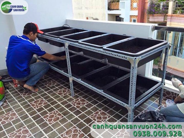 Thi công vườn rau sạch