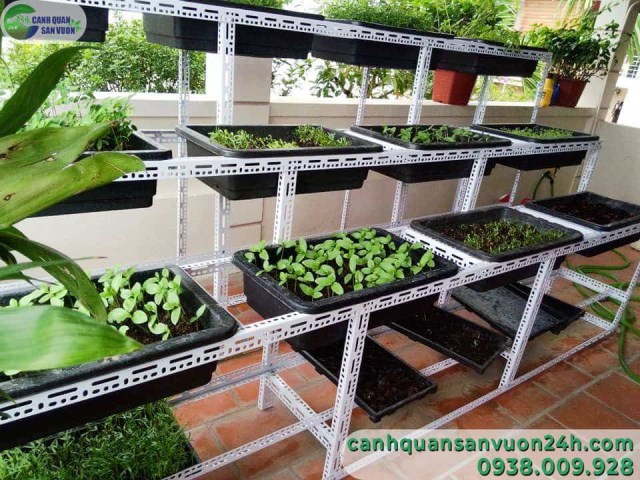 Thi công vườn rau sạch