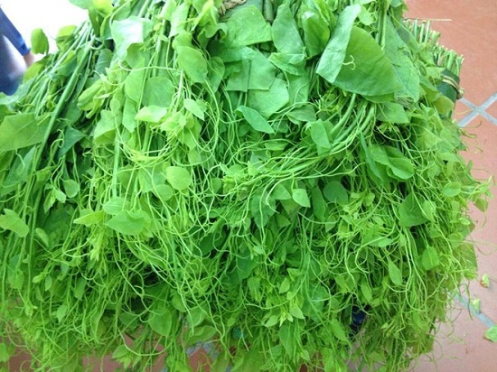 Rau bò khai