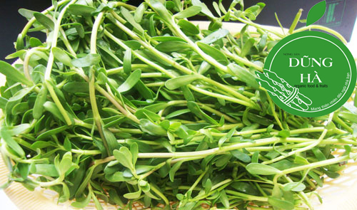 Rau đắng