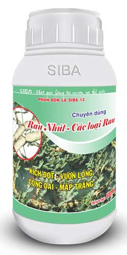 Rau nhút