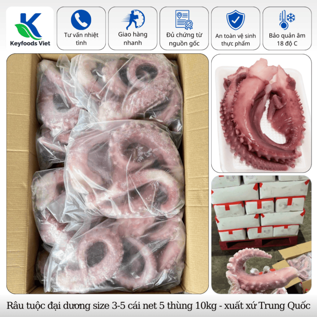 Râu tuộc đại dương
