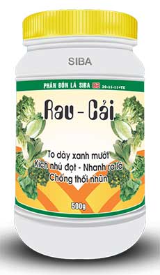 Rau cải