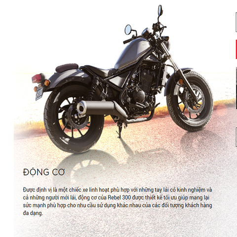 Rebel 300