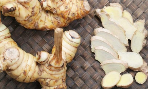 Riềng lát sấy khô