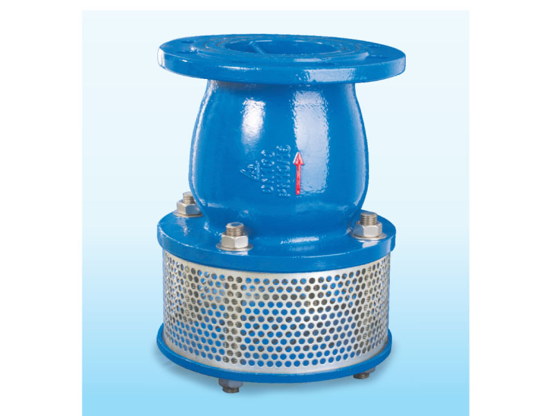 Rọ bơm mặt bích inox 304