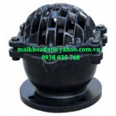 Rọ bơm gang