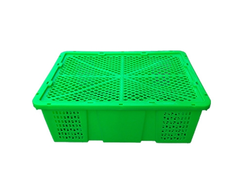 Rổ đựng trái cây