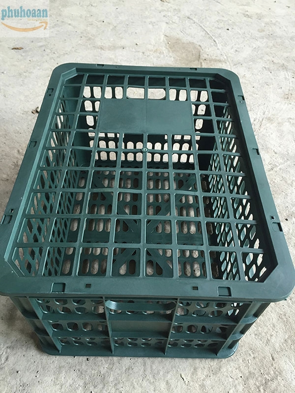 Rổ quýt lùn