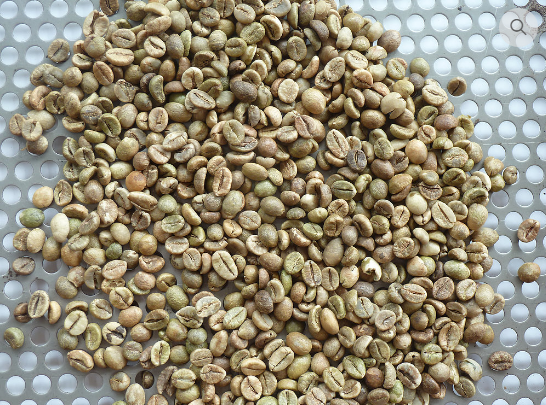 Bắn màu cà phê Robusta