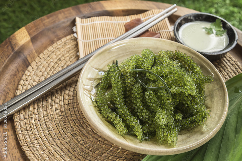 Rong nho tách nước Hokota