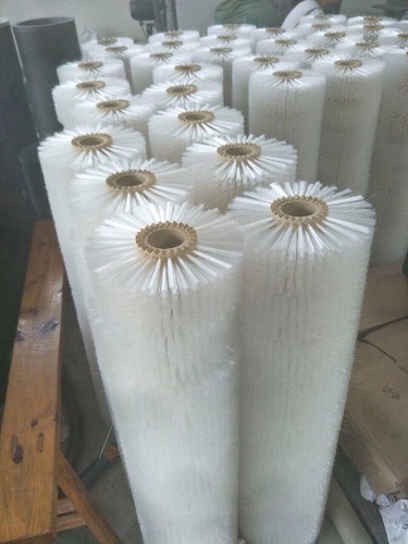 Rulo chổi cước
