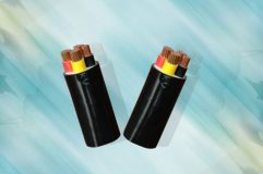 Cáp ruột đồng cách điện PVC