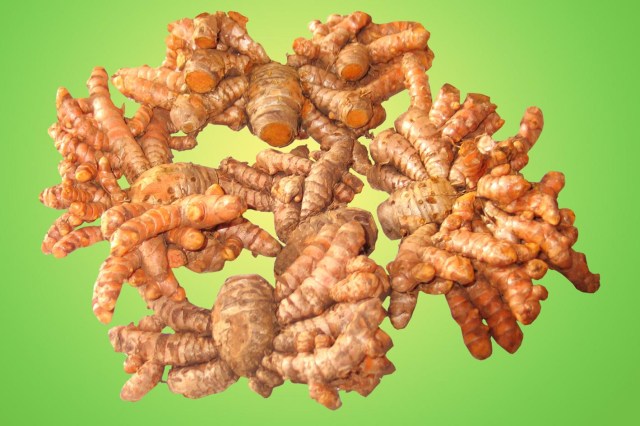 Nghệ