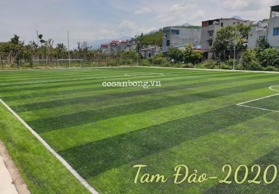 Dự án sân bóng tại Tam Đảo