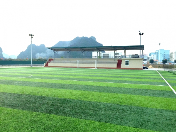 Cung cấp, thi công cỏ nhân tạo