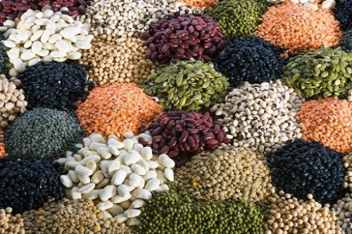 Sản phẩm đạm động vật