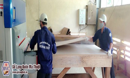 Sản xuất ván ép