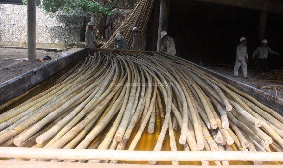 Sản phẩm cây tre