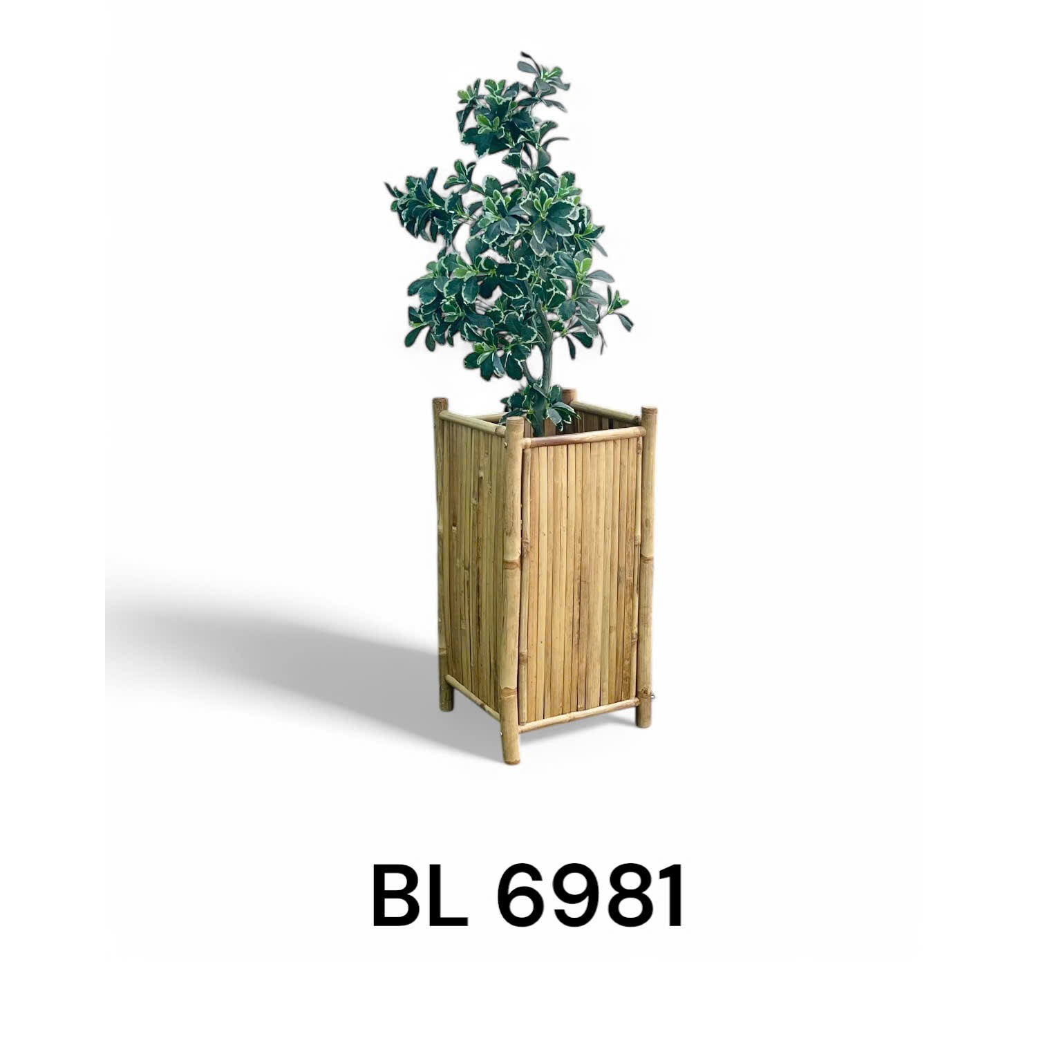 Sản phẩm sân vườn BL 6981