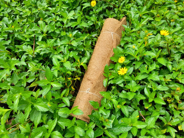 Thảm xơ dừa 50x150cm