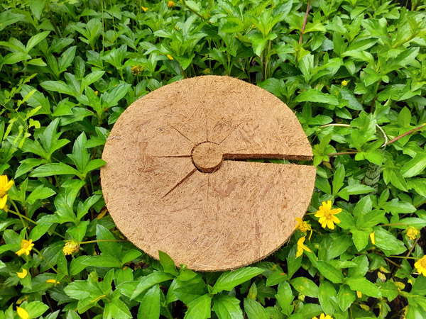Đĩa xơ dừa đường kính 25 cm