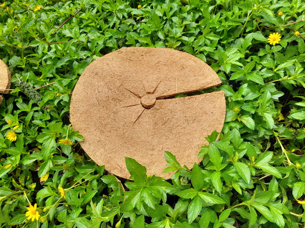 Đĩa xơ dừa đường kính 37 cm