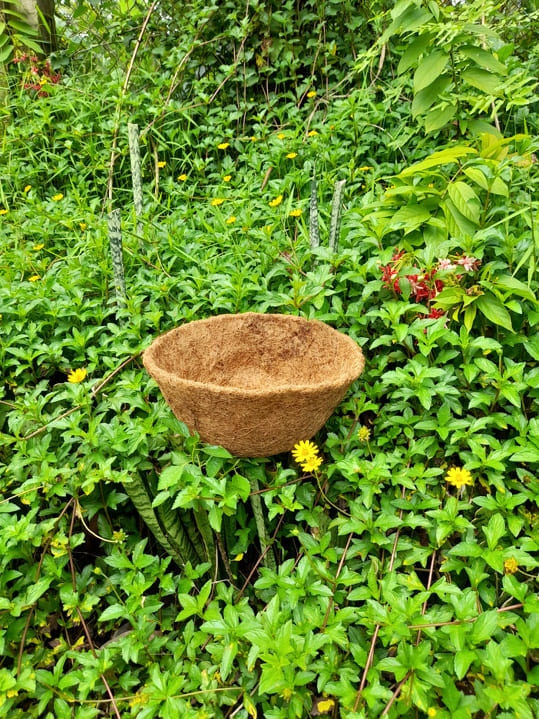 Chậu tròn xơ dừa đường kính 20 cm
