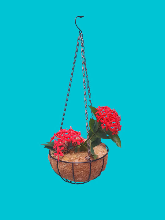 Giỏ hoa Q20 cm