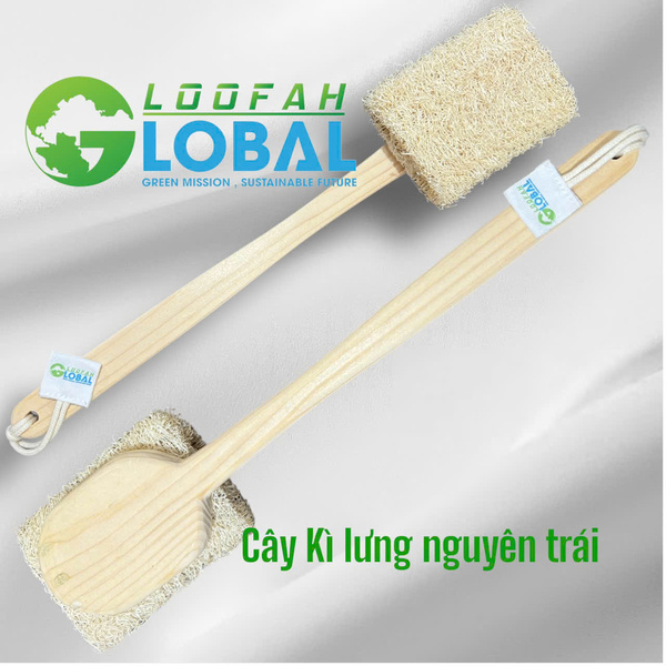 Sản phẩm xơ mướp dùng cho nhà tắm