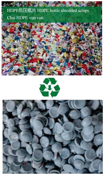 Sản xuất hạt nhựa từ chai HDPE vụn
