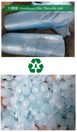 Sản xuất hạt nhựa từ phim nhà kính