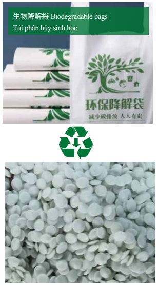 Sản xuất hạt nhựa từ túi phân hủy sinh học